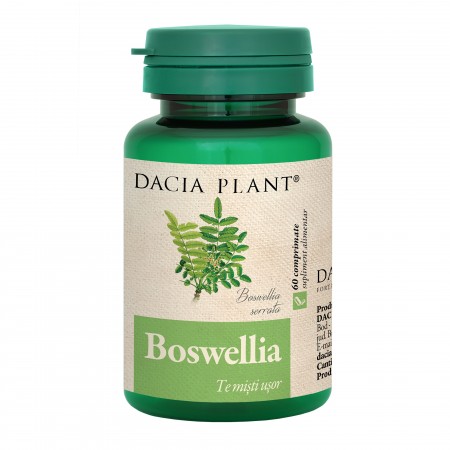 Boswellia Dacia Plant 60cpr